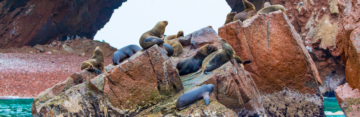 Islas Ballestas